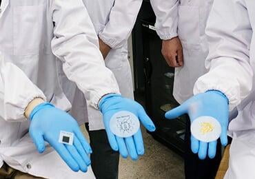 Zinc-based batteries made from crab shells can be biodegraded in 5 months